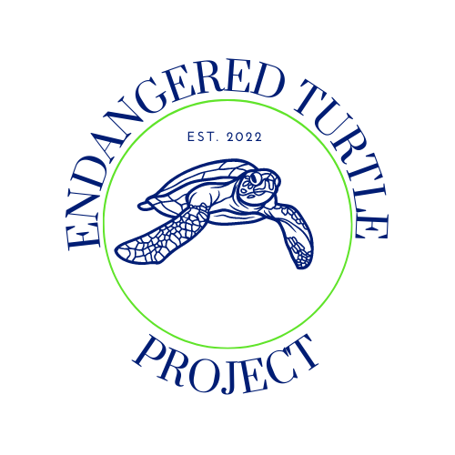 endangered turtle logo website landing page